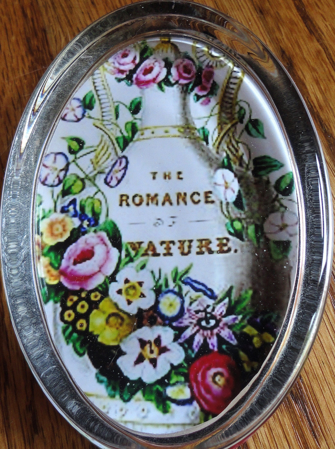 Oval Glass Paperweight The ROMANCE of NATURE Antique Title Page Art