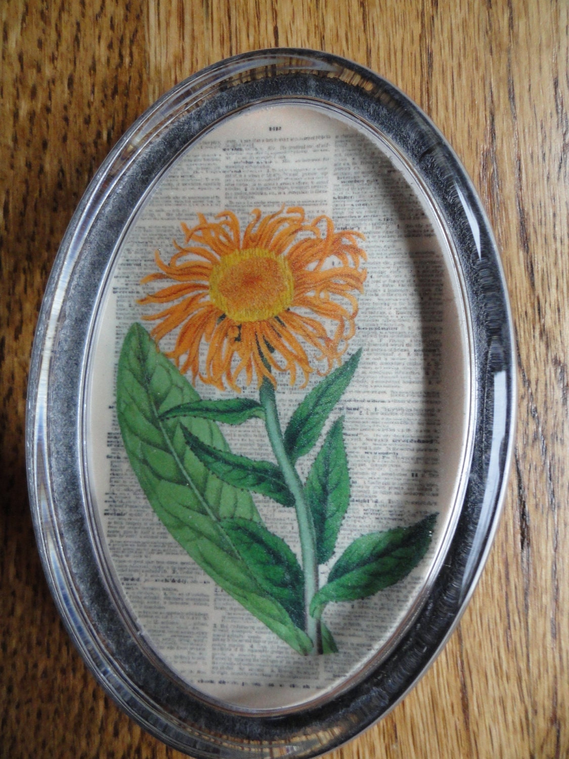 Oval Glass PAPERWEIGHTAntique Orange FLOWER Engraving on a Dictionary Book Page Background Very STRIKING