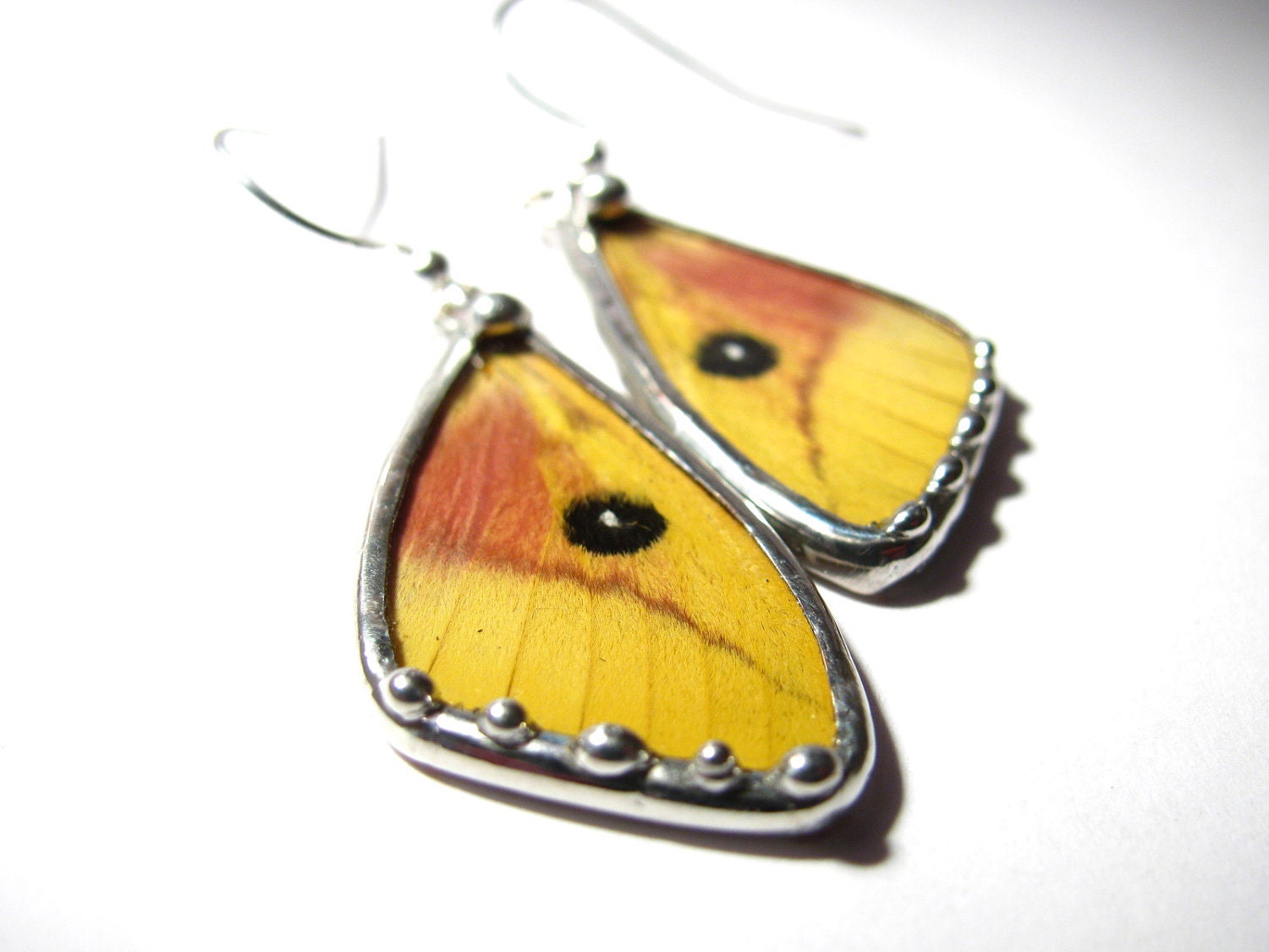 Butterfly Jewelry Real Recycled Butterfly Moth Wing Earrings
