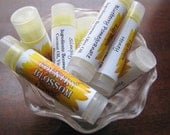 Lip Balms - Pick 3 made with Beeswax