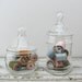 Vintage Glass Apothecary Jars
