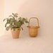 Cape Cod Nantucket Basket. Country Cottage. Nice piece of Americana.Second of Two.