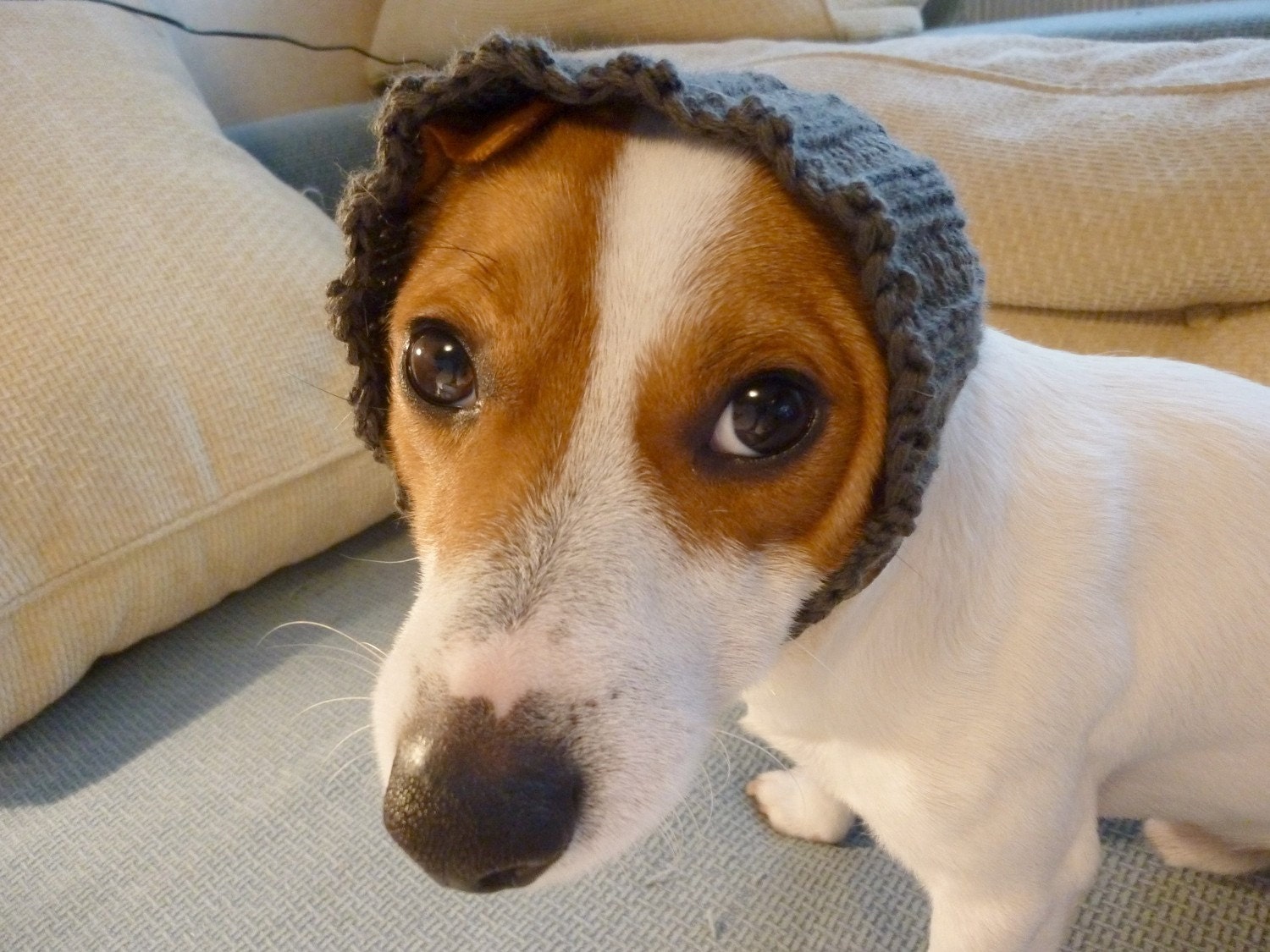 Sale / Ready to ship / Knitted Grey Dog Cowl / Dog clothes / Dog Scarf / Rusteam / em
