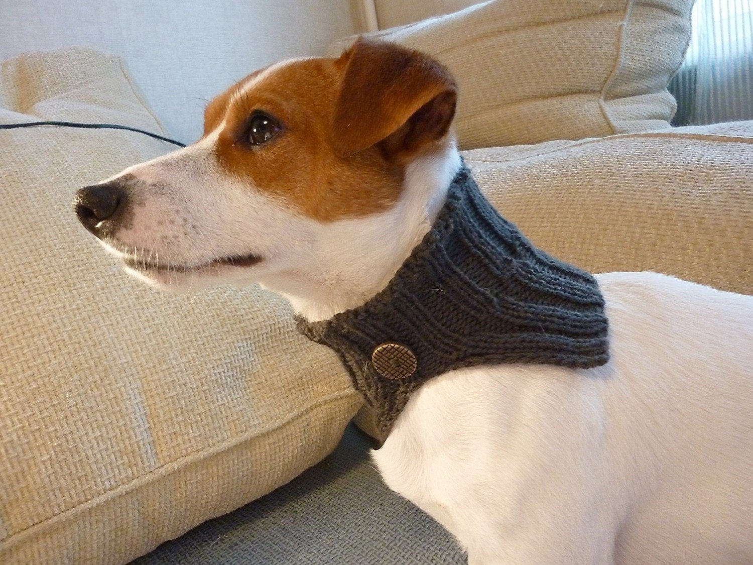Sale / Ready to ship / Knitted Grey Dog Cowl / Dog clothes / Dog Scarf / Rusteam / em