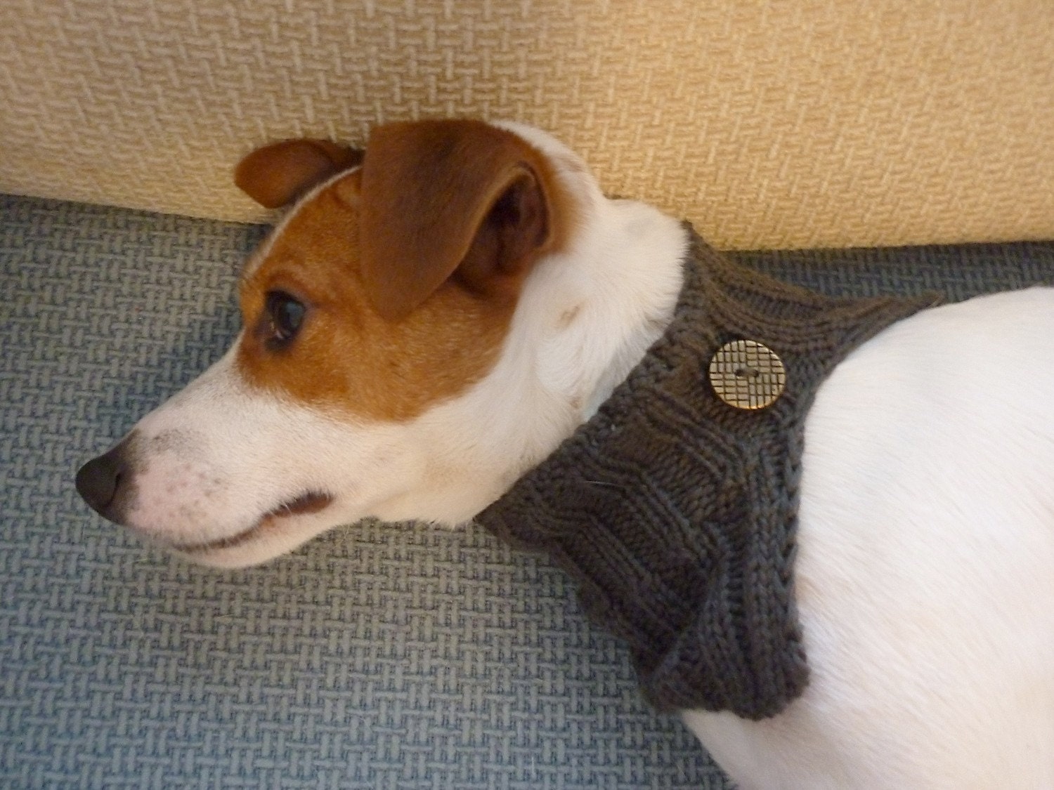 Sale / Ready to ship / Knitted Grey Dog Cowl / Dog clothes / Dog Scarf / Rusteam / em