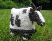 Jacob Sheep Knitting Kit