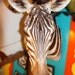 Vintage Taxidermy Zebra Mount