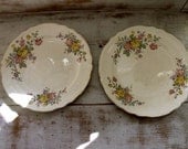 Pair of Floral Embellished Vintage Plates