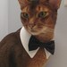 White point collar with interchangeable bow tie
