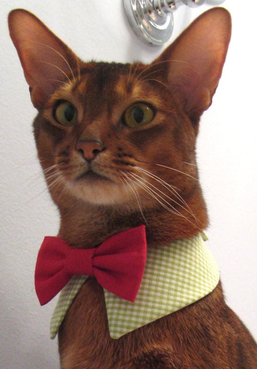point collar in choice of color or print and interchangeable bow tie for cat