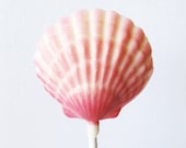 3 Chocolate Shell Lollipops: Raspberry Ombre Il_170x135