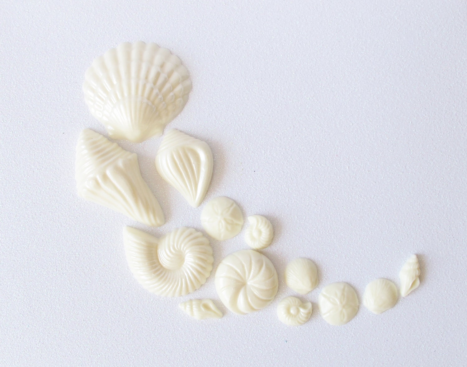 12 Chocolate Seashells: Starlight White Glimmer