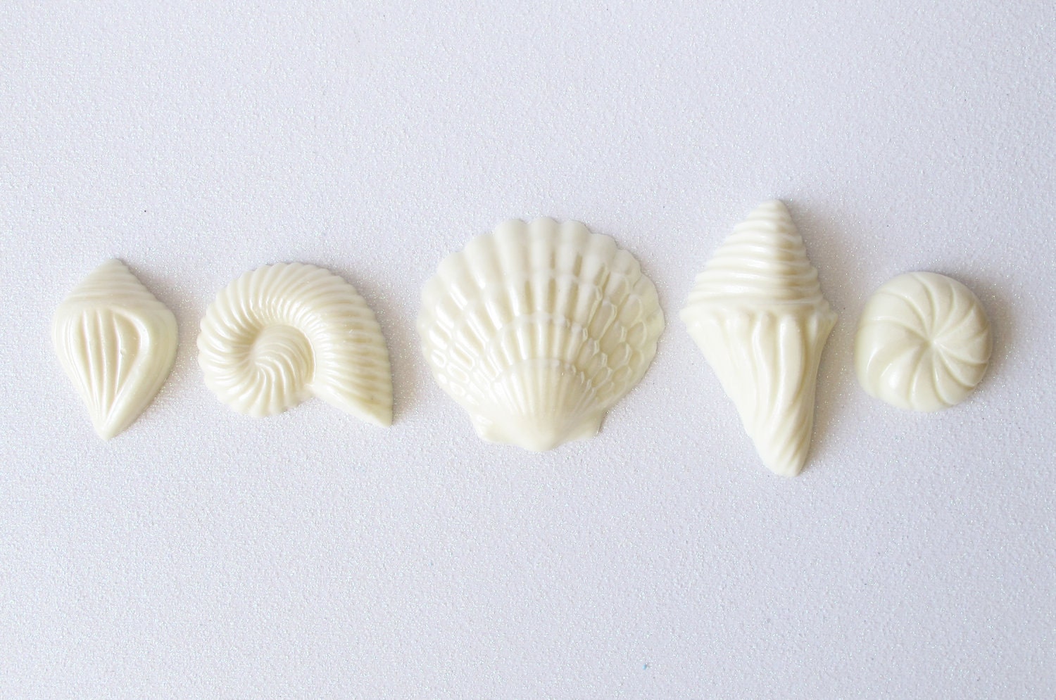 12 Chocolate Seashells: Starlight White Glimmer