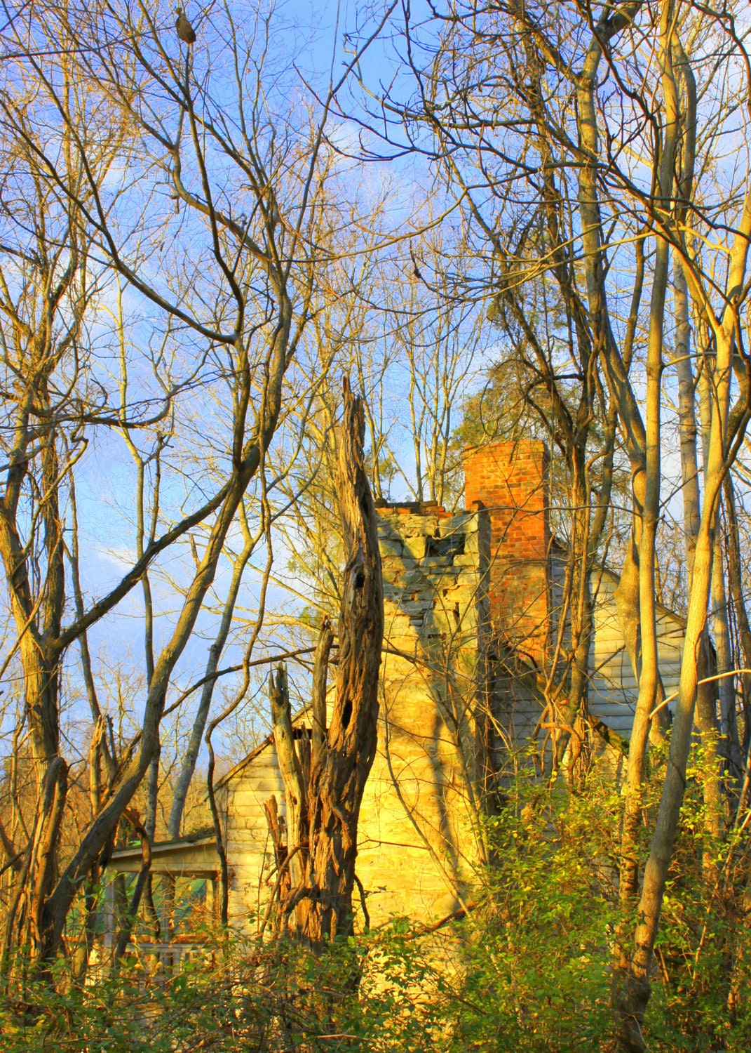 Old Abandoned House, near the Natural Bridge in Virginia--5 x 7 fine art photo, signed