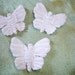 Embossed small Velvet Butterfly 3 pieces Exclusive