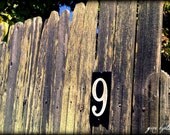 Nine - Wood Fence Original Photo Print