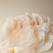Peach Flower Cake Toppers (50)