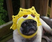 Spread a Little Sunshine Dog / Cat  Hat / Made To Order