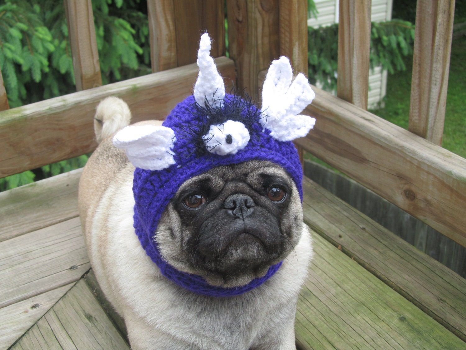 Dog Hat - Flying Purple People Eater/ Made to Order