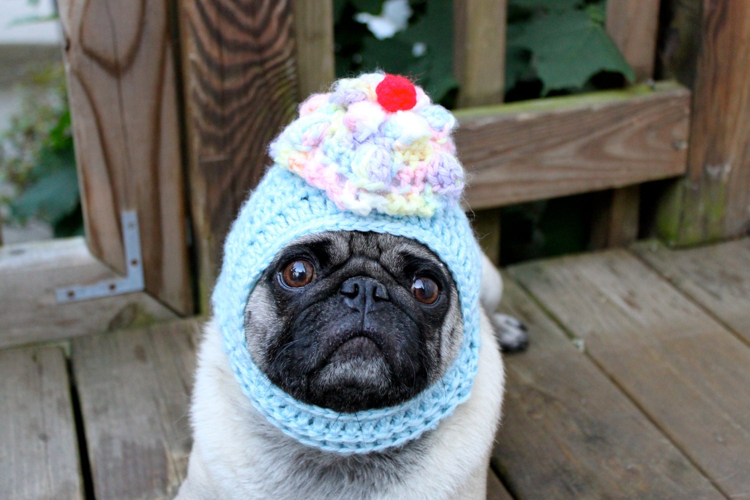Dog Hat - Sweet Yummy Cupcake Hat/Made To Order
