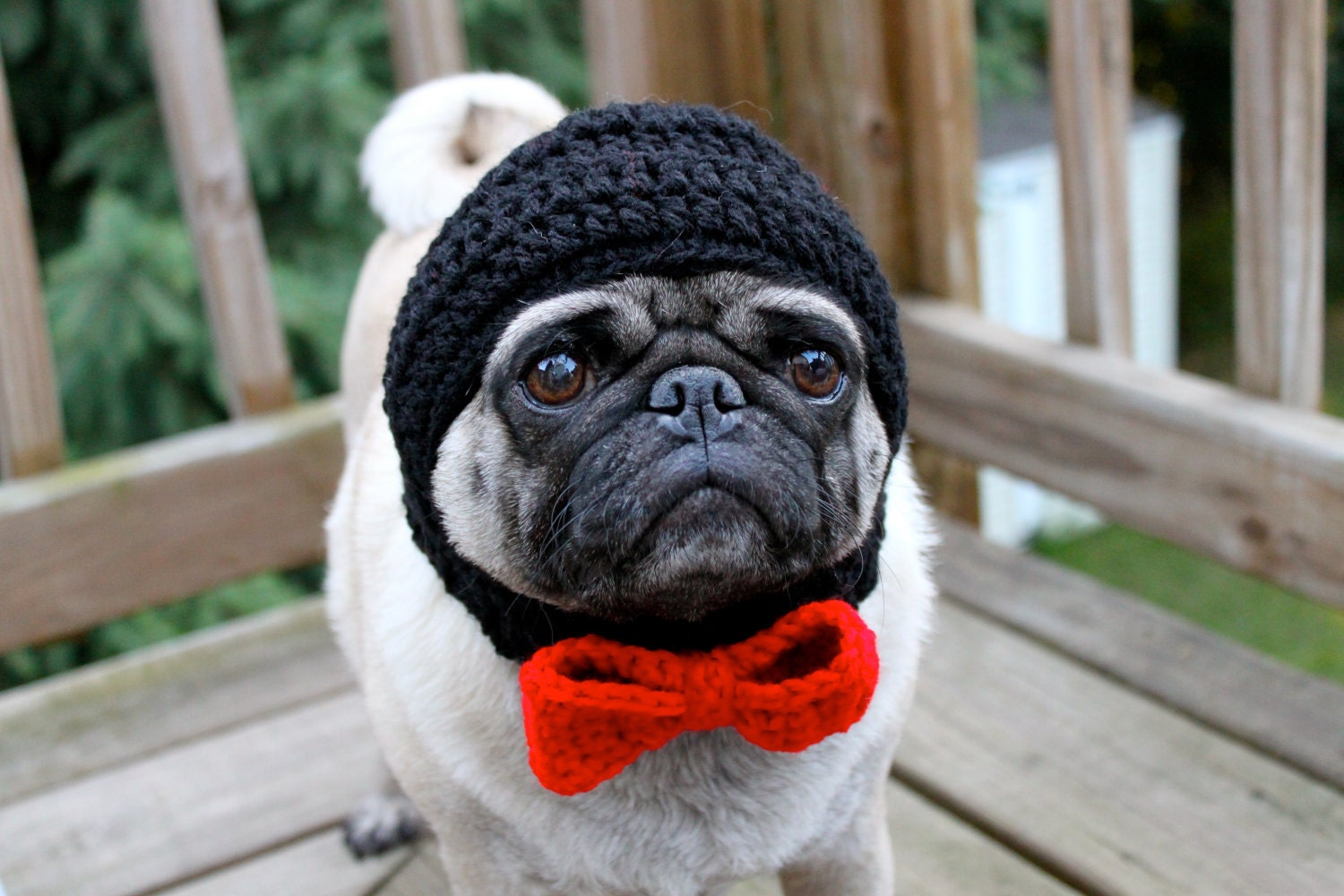 Dog Groom Wedding Hat / Made to Order
