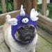 Dog Hat - Flying Purple People Eater/ Made to Order