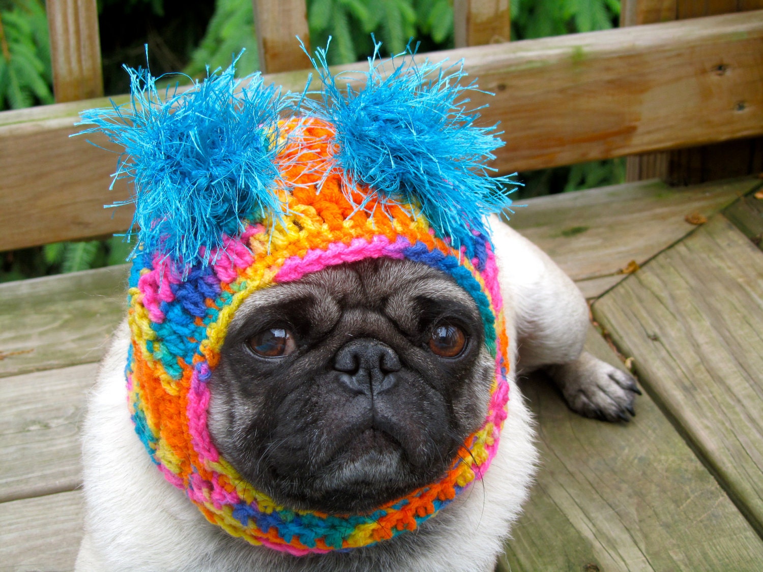 Dog Hat - Clown Happy/ Made to Order