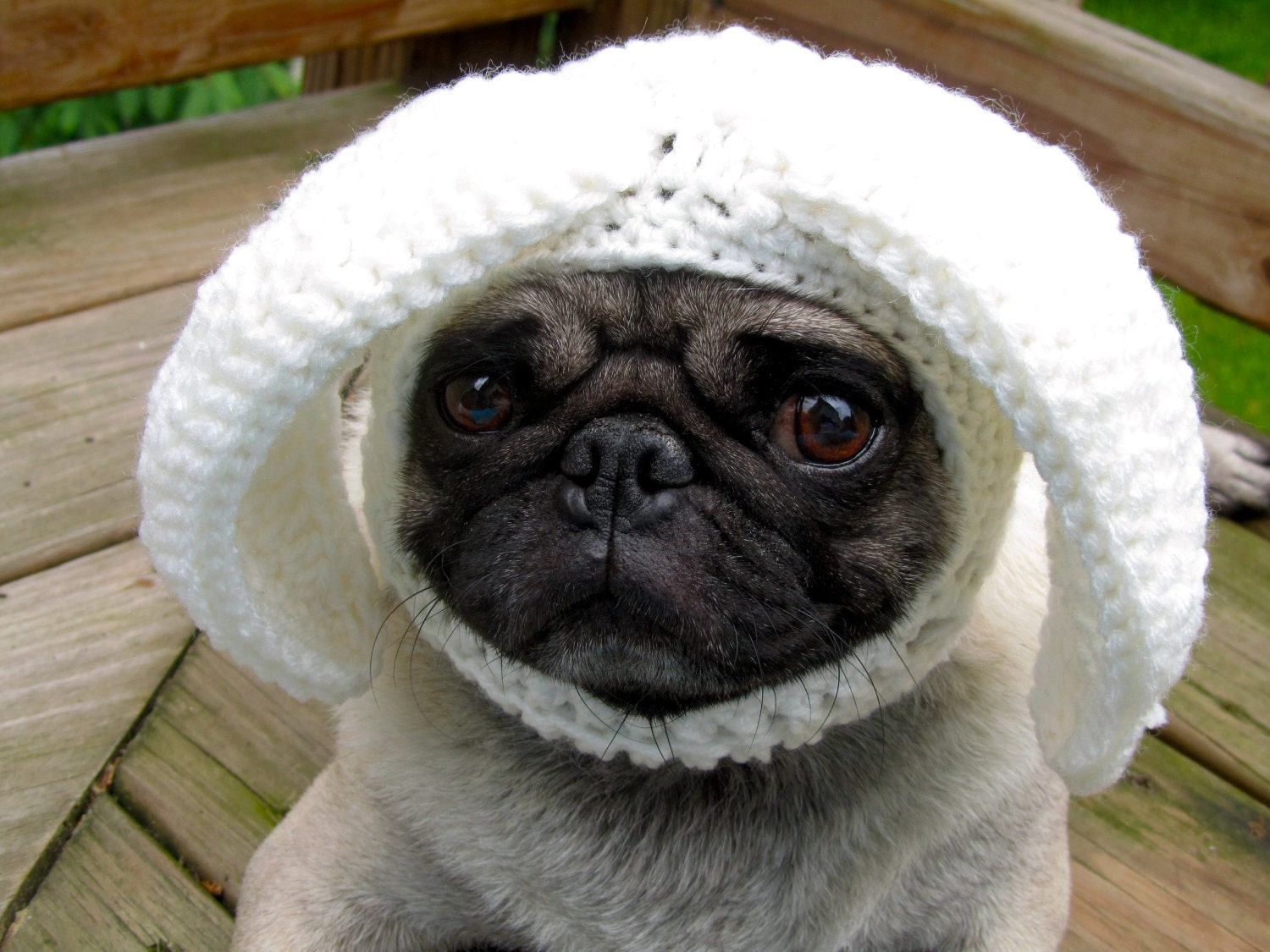Dog Hat - Floppy Ear Bunny Rabbit / Made To Order