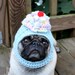 Dog Hat - Sweet Yummy Cupcake Hat/Made To Order