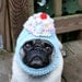 Dog Hat - Sweet Yummy Cupcake Hat/Made To Order