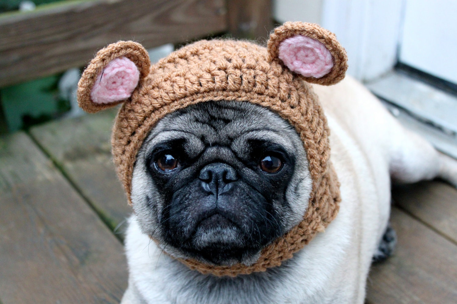 Dog Hat - My Baby Bear Hat/ Made To Order