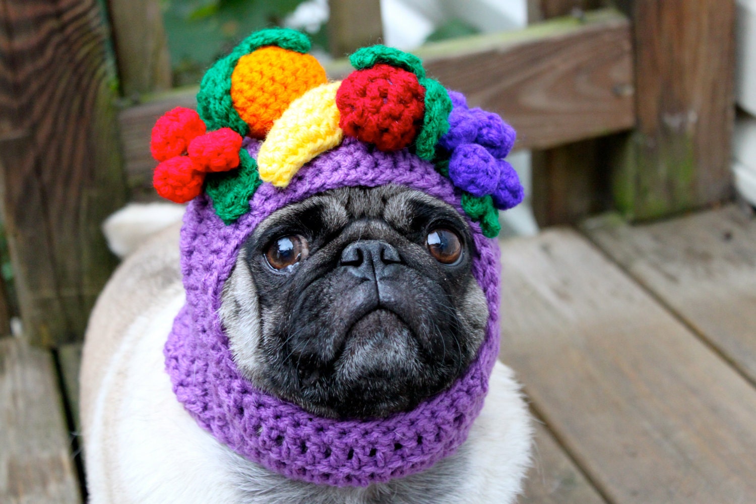 Dog Hat - Carmen Miranda Fruit Bowl/ Made to Order