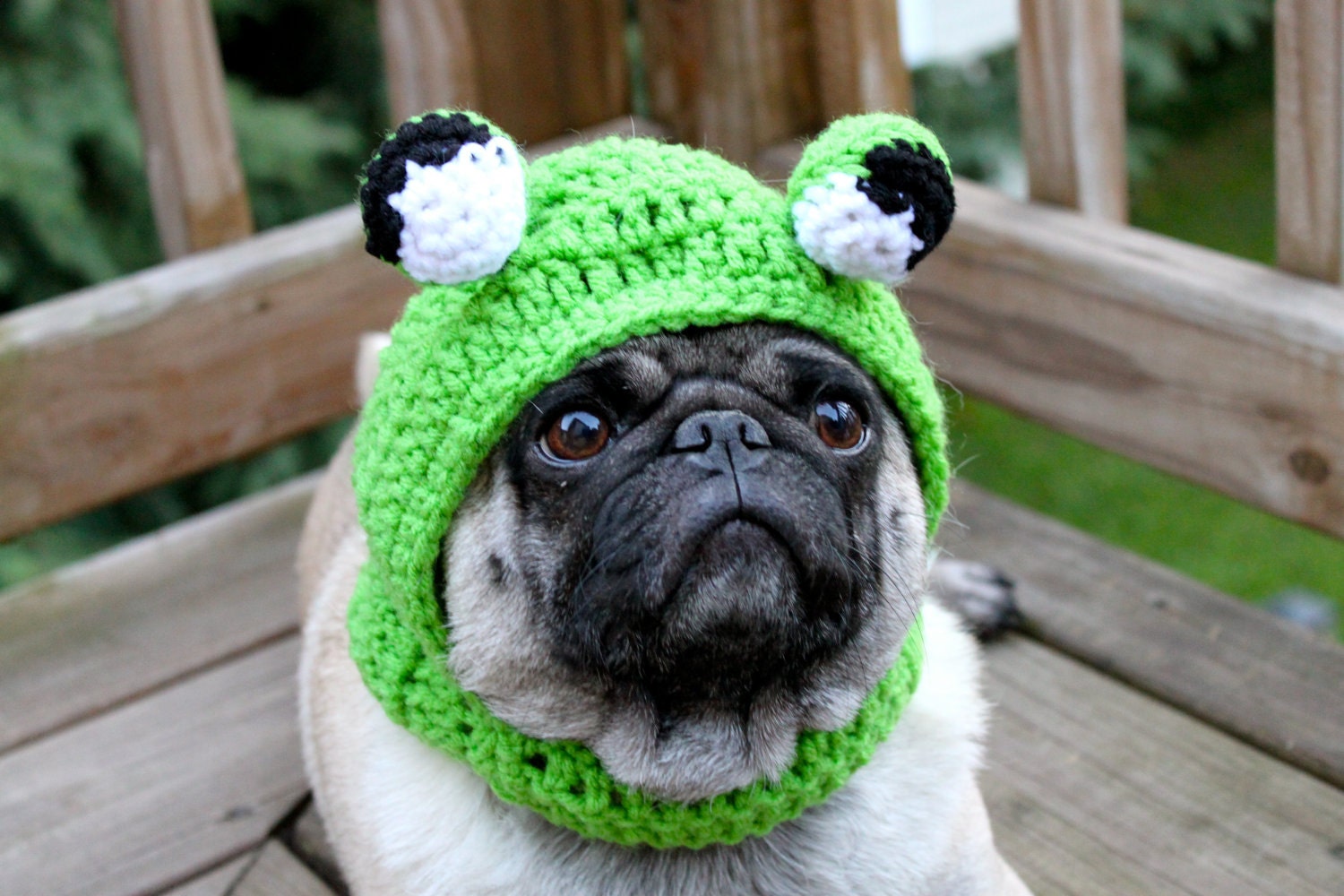 Dog Hat - Big Eye Frog Hat/ Made to Order
