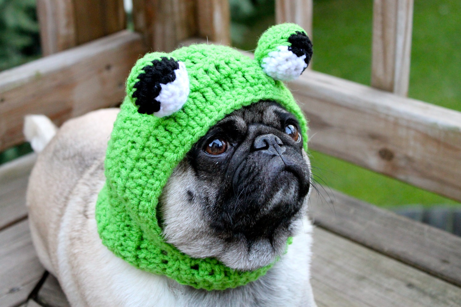 Dog Hat - Big Eye Frog Hat/ Made to Order