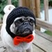 Dog Groom Wedding Hat / Made to Order