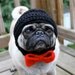 Dog Groom Wedding Hat / Made to Order