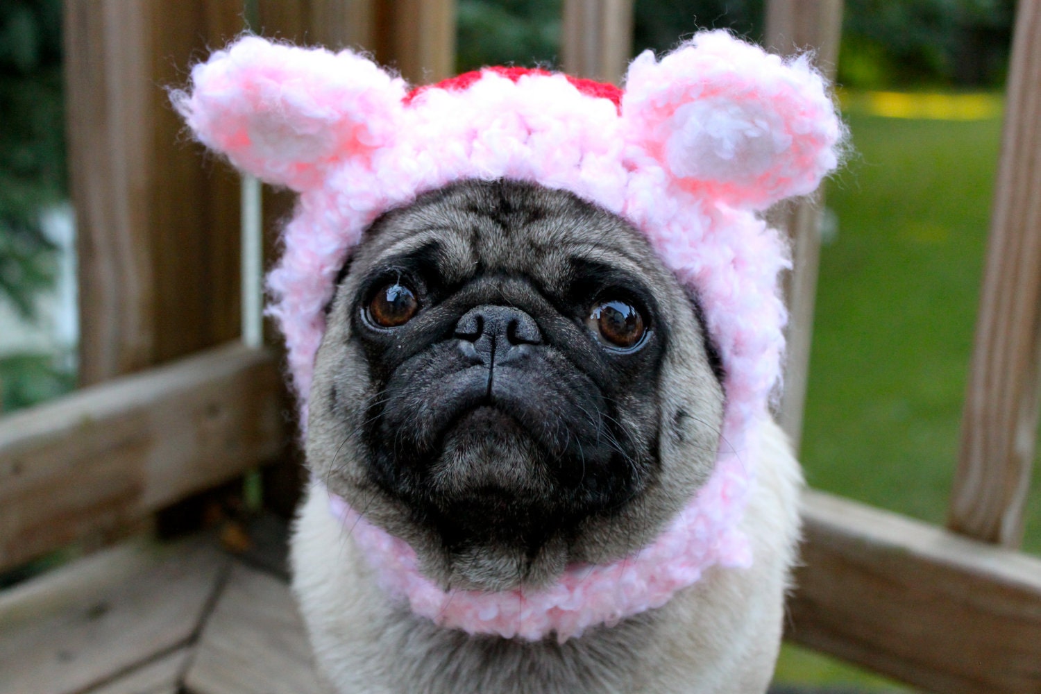 Dog Hat - Cheer Bear - Care Bear Hat/ Made To Order