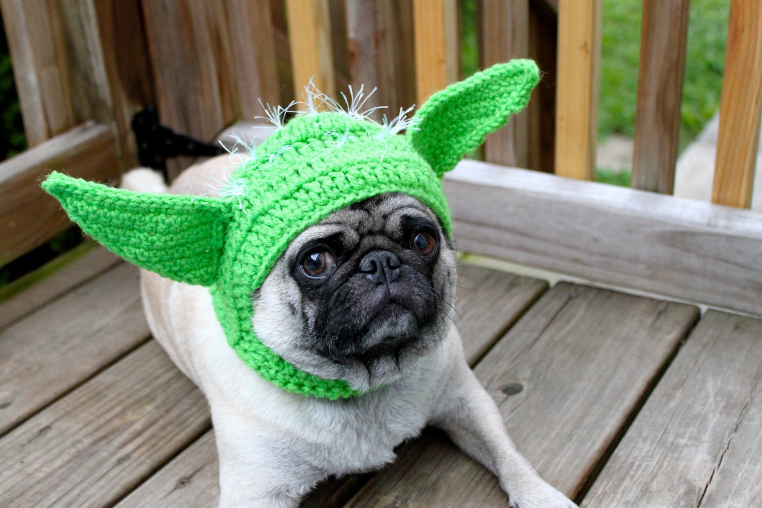 Dog Hat - Yoda / Made To Order