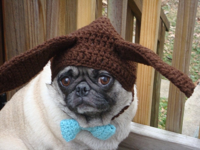 Dog Hat - Chocolate Ear Bunny Hat / Made To Order