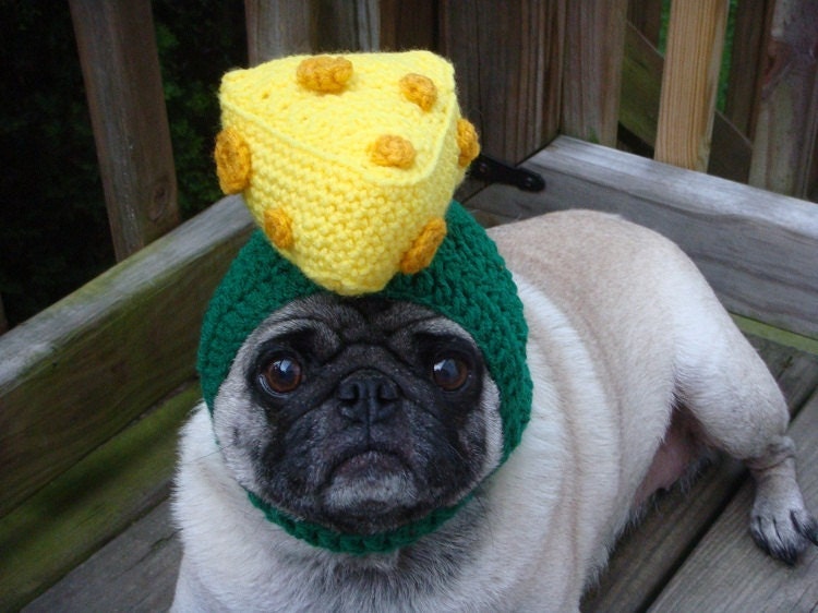 Cheesehead Wisconsin Dog Hat / Made to Order