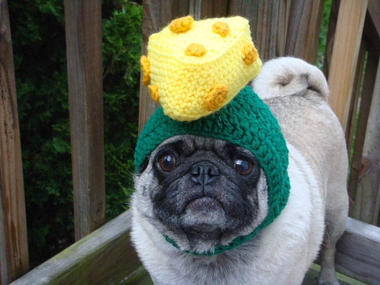 Cheesehead Wisconsin Dog Hat / Made to Order