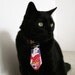 Geisha Gal - Pet Tie