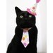 Cat Tie - The Big Birthday Bash