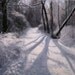 Landscape,Winter Path-Towards the Light. Original painting. 12" x 16".