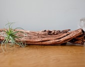 Copper Gilded Driftwood Branch