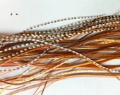 Sale Clip in Removable Feather hair extensions 12 Rare Natural CREE Ginger Mix long feathers - 2 Weft clip in extensions