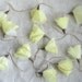 Daffodils, blossom garland, wedding decoration, garden party, spring décor, yellow