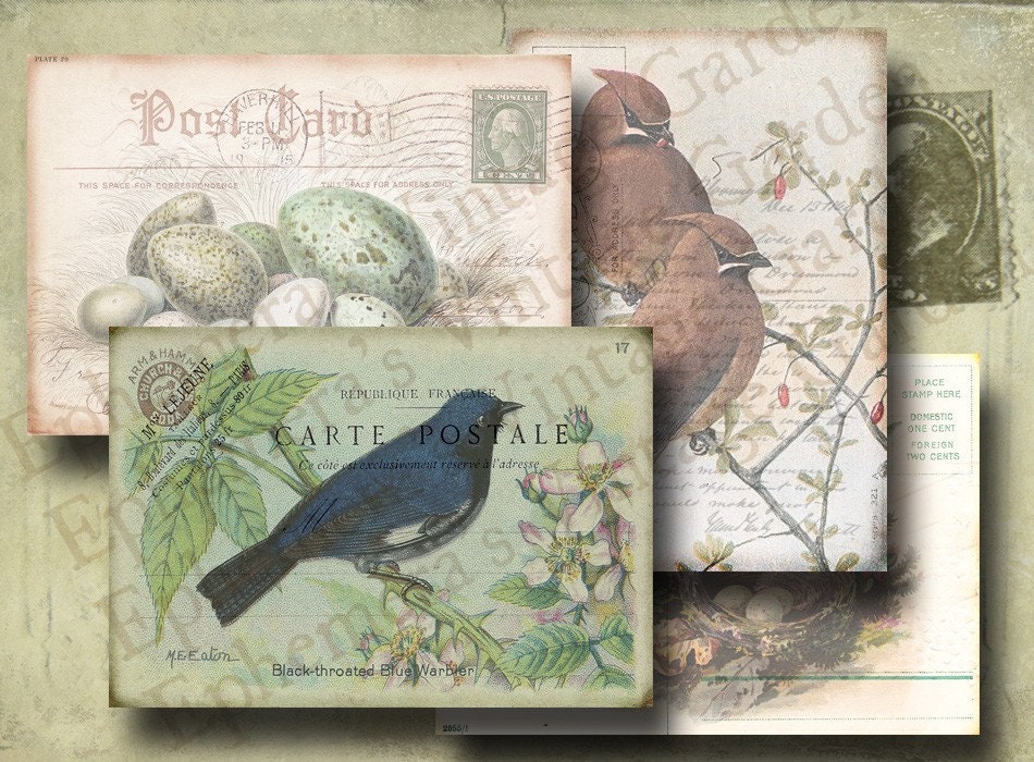 Vintage Bird Postcards No. 3- Digital Collage Sheet- altered art hang tags greeting card craft supplies scrapbooking nests eggs Easter blue