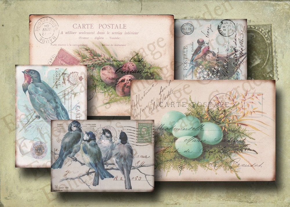 Printable Vintage Bird Postcards No. 4- Digital Collage Sheet