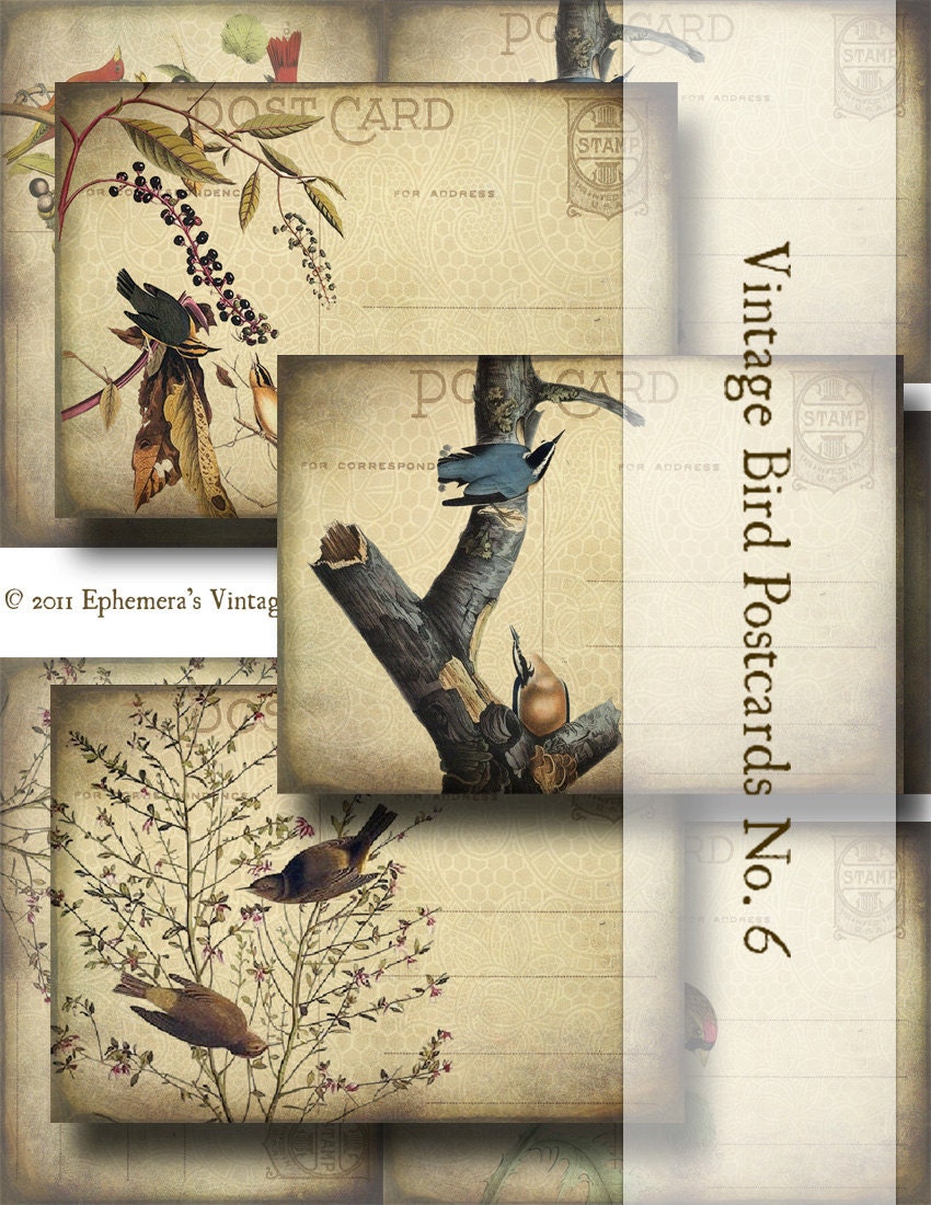 Vintage Bird Postcards No.6 - Digital Collage Sheet - altered art hang tags greeting cards craft supplies scrapbooking nature botanical